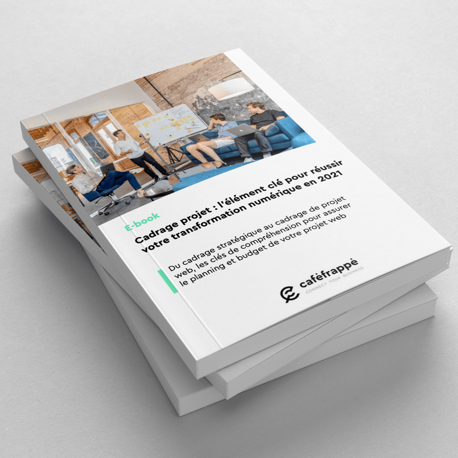 Mockup_cadrage_livre-blanc.png