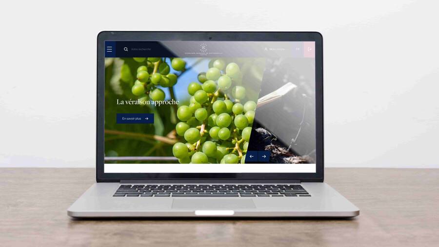 Mockup_Laptop_modifié.jpg